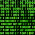 Text Formatting Assignment